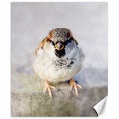 Do Not Mess With Sparrows Canvas 8  X 10  by FunnyCow