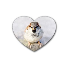 Do Not Mess With Sparrows Heart Coaster (4 Pack)  by FunnyCow