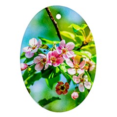 Crab Apple Flowers Ornament (oval) by FunnyCow