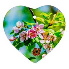 Crab Apple Flowers Ornament (heart) by FunnyCow