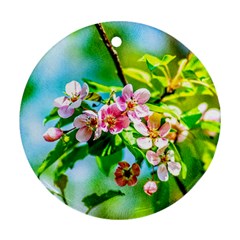 Crab Apple Flowers Round Ornament (two Sides) by FunnyCow