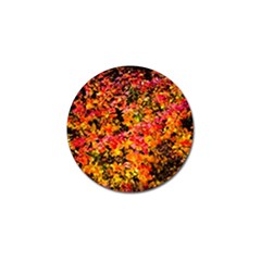 Orange, Yellow Cotoneaster Leaves In Autumn Golf Ball Marker (10 Pack) by FunnyCow