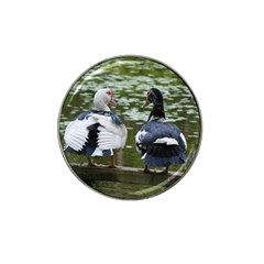 Muscovy Ducks At The Pond Hat Clip Ball Marker (4 Pack) by IIPhotographyAndDesigns
