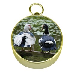 Muscovy Ducks At The Pond Gold Compasses by IIPhotographyAndDesigns