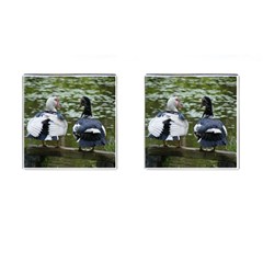 Muscovy Ducks At The Pond Cufflinks (square) by IIPhotographyAndDesigns