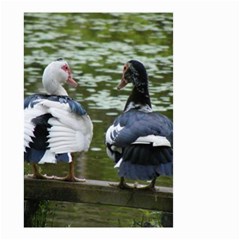 Muscovy Ducks At The Pond Small Garden Flag (two Sides) by IIPhotographyAndDesigns