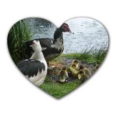 Muscovy Family Heart Mousepads by IIPhotographyAndDesigns