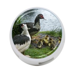 Muscovy Family 4-port Usb Hub (two Sides) by IIPhotographyAndDesigns