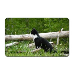 Farm Cat Magnet (rectangular) by IIPhotographyAndDesigns