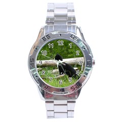 Farm Cat Stainless Steel Analogue Watch