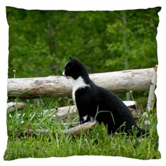 Farm Cat Standard Flano Cushion Case (one Side) by IIPhotographyAndDesigns