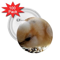 Silkie Chick  2 25  Buttons (100 Pack)  by IIPhotographyAndDesigns