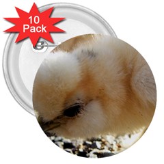 Silkie Chick  3  Buttons (10 Pack)  by IIPhotographyAndDesigns