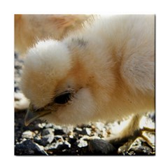 Silkie Chick  Face Towel