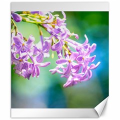 Beautiful Pink Lilac Flowers Canvas 20  X 24   by FunnyCow