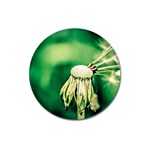 Dandelion Flower Green Chief Magnet 3  (Round)