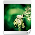Dandelion Flower Green Chief Canvas 11  x 14  