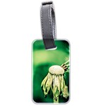 Dandelion Flower Green Chief Luggage Tags (Two Sides)