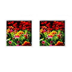 Colorful Tulips On A Sunny Day Cufflinks (square) by FunnyCow