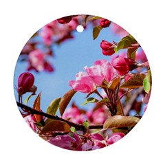 Crab Apple Blossoms Ornament (round) by FunnyCow