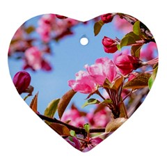 Crab Apple Blossoms Ornament (heart) by FunnyCow