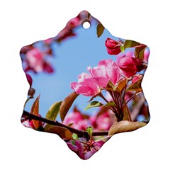 Crab Apple Blossoms Ornament (snowflake) by FunnyCow