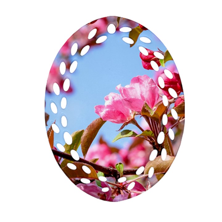 Crab Apple Blossoms Oval Filigree Ornament (Two Sides)