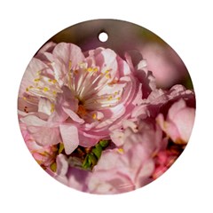 Beautiful Flowering Almond Round Ornament (two Sides) by FunnyCow