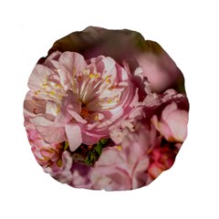 Beautiful Flowering Almond Standard 15  Premium Flano Round Cushions by FunnyCow