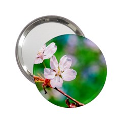 Sakura Flowers On Green 2 25  Handbag Mirrors by FunnyCow