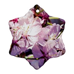 Sakura In The Shade Snowflake Ornament (two Sides) by FunnyCow