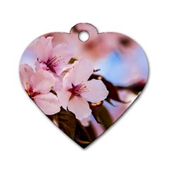 Three Sakura Flowers Dog Tag Heart (two Sides) by FunnyCow