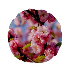 Flowering Almond Flowersg Standard 15  Premium Flano Round Cushions by FunnyCow