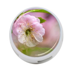 Single Almond Flower 4-port Usb Hub (two Sides) by FunnyCow