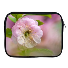 Single Almond Flower Apple Ipad 2/3/4 Zipper Cases by FunnyCow