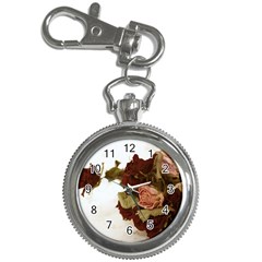 Shabby 1814373 960 720 Key Chain Watches by vintage2030