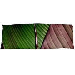 Leaf Banana Leaf Greenish Lines Body Pillow Case (dakimakura) by Sapixe