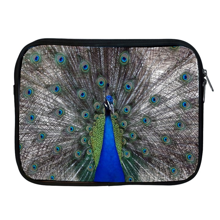 Peacock Bird Animals Pen Plumage Apple iPad 2/3/4 Zipper Cases