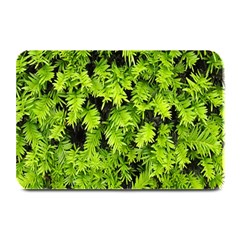 Green Hedge Texture Yew Plant Bush Leaf Plate Mats by Sapixe