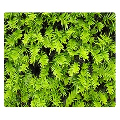 Green Hedge Texture Yew Plant Bush Leaf Double Sided Flano Blanket (small)  by Sapixe