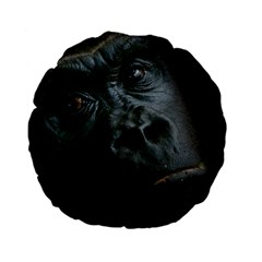 Gorilla Monkey Zoo Animal Standard 15  Premium Flano Round Cushions