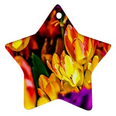Fancy Tulip Flowers In Spring Ornament (star) by FunnyCow