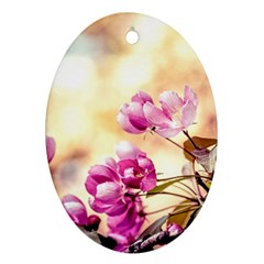 Paradise Apple Blossoms Oval Ornament (two Sides) by FunnyCow