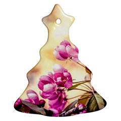 Paradise Apple Blossoms Ornament (christmas Tree)  by FunnyCow