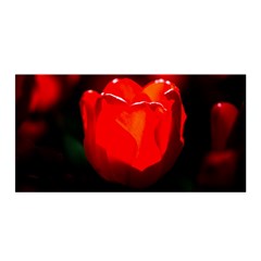 Red Tulip A Bowl Of Fire Satin Wrap by FunnyCow