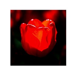 Red Tulip A Bowl Of Fire Small Satin Scarf (square) by FunnyCow