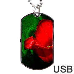 Red Tulip After The Shower Dog Tag Usb Flash (two Sides) by FunnyCow