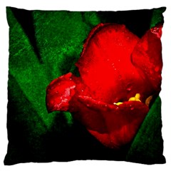 Red Tulip After The Shower Standard Flano Cushion Case (one Side) by FunnyCow