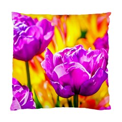 Violet Tulip Flowers Standard Cushion Case (two Sides) by FunnyCow