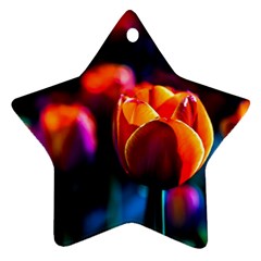 Red Tulips Ornament (star) by FunnyCow